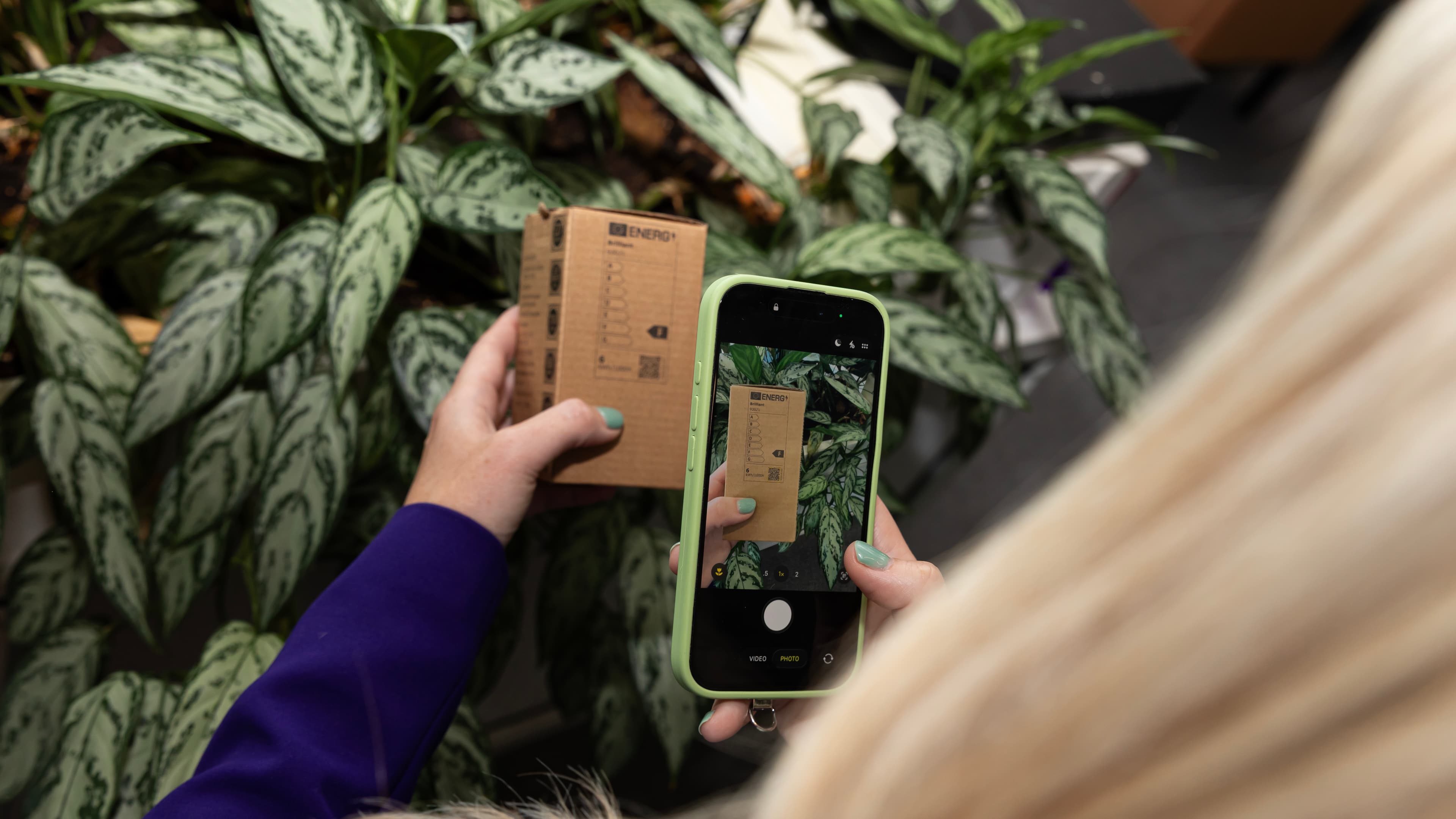 A phone scanning a cardboard pack held among leafy plants